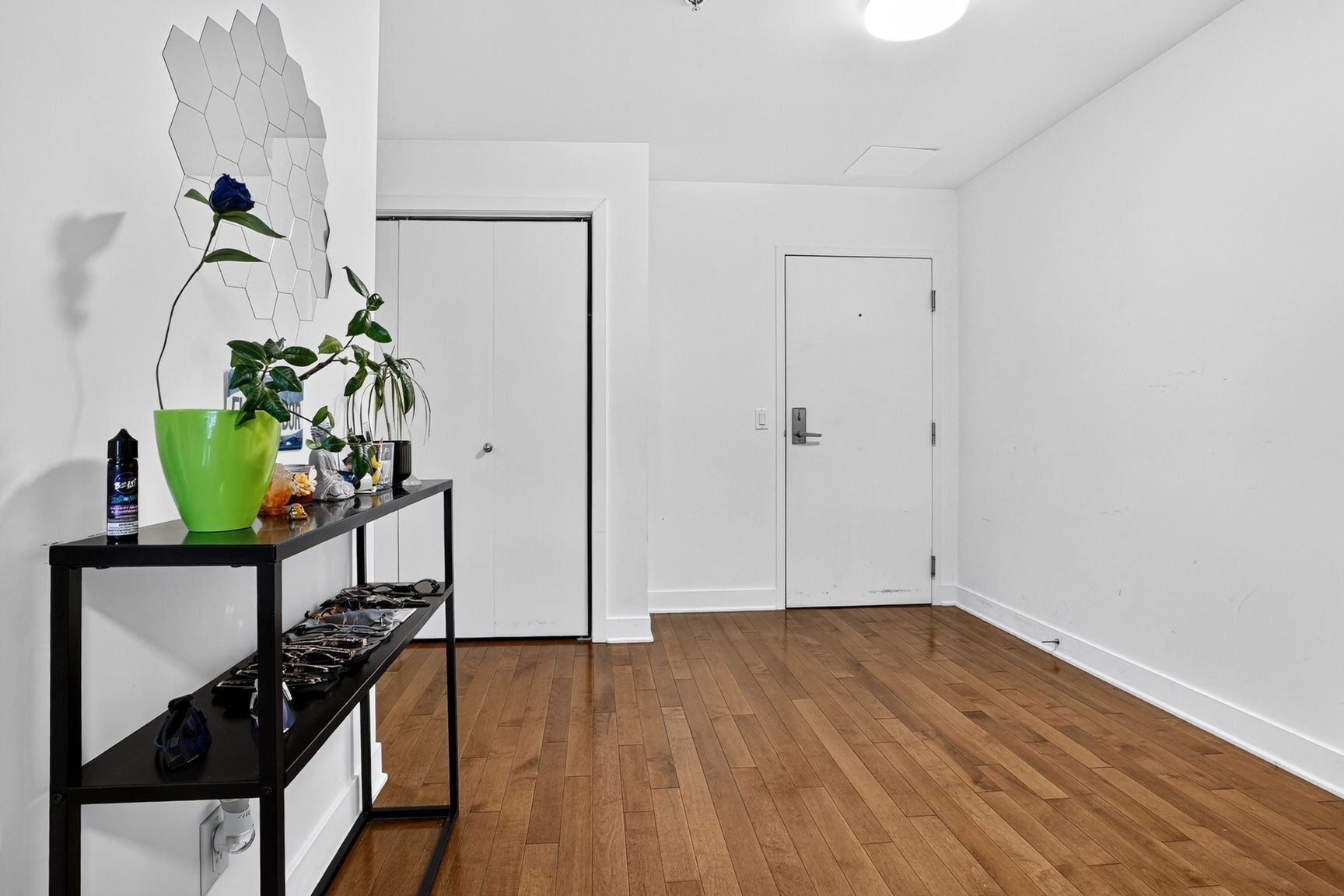 Hall d'entrée/Vestibule