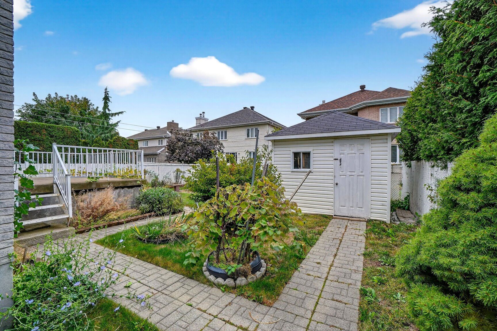 Backyard