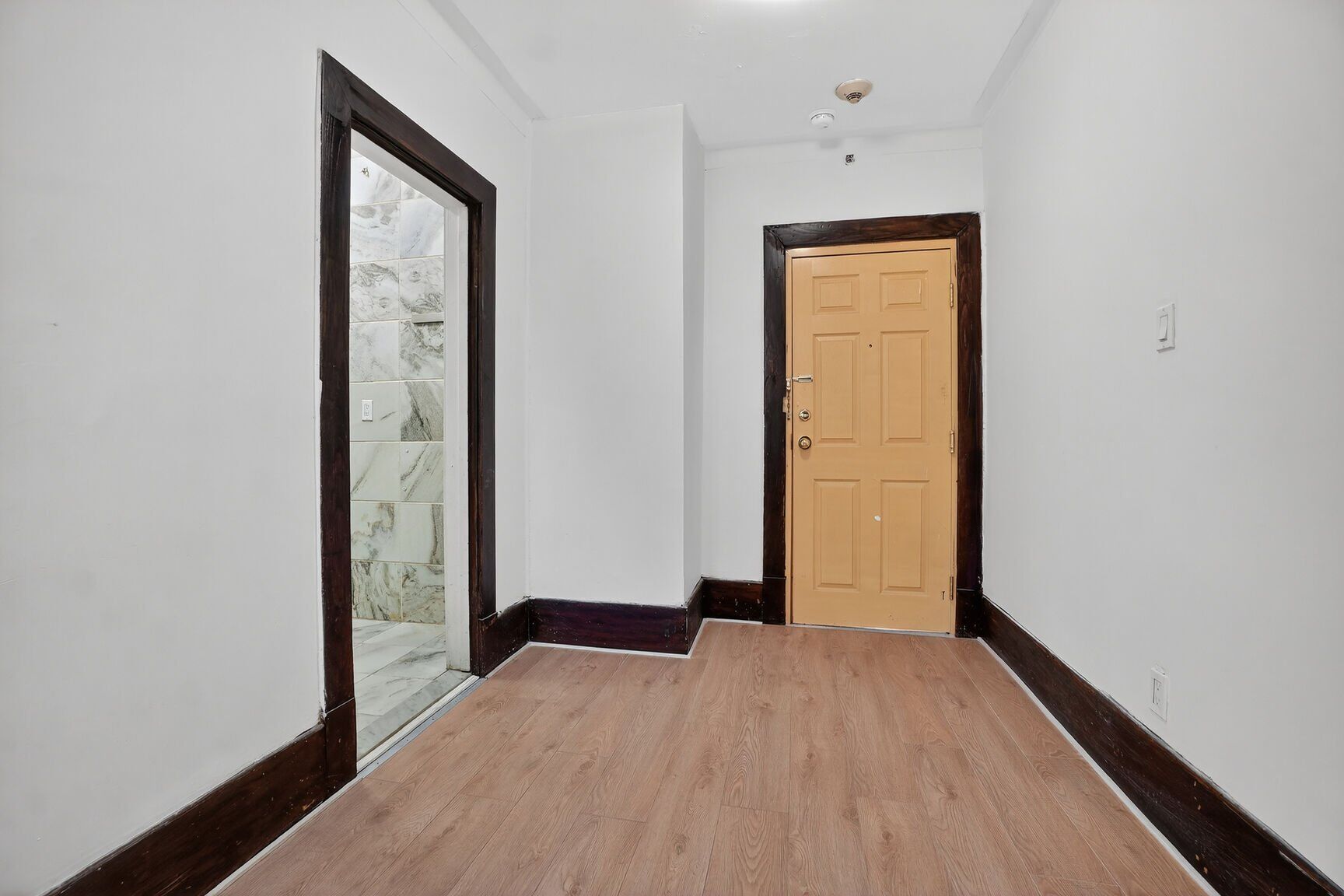 Hall d'entrée/Vestibule