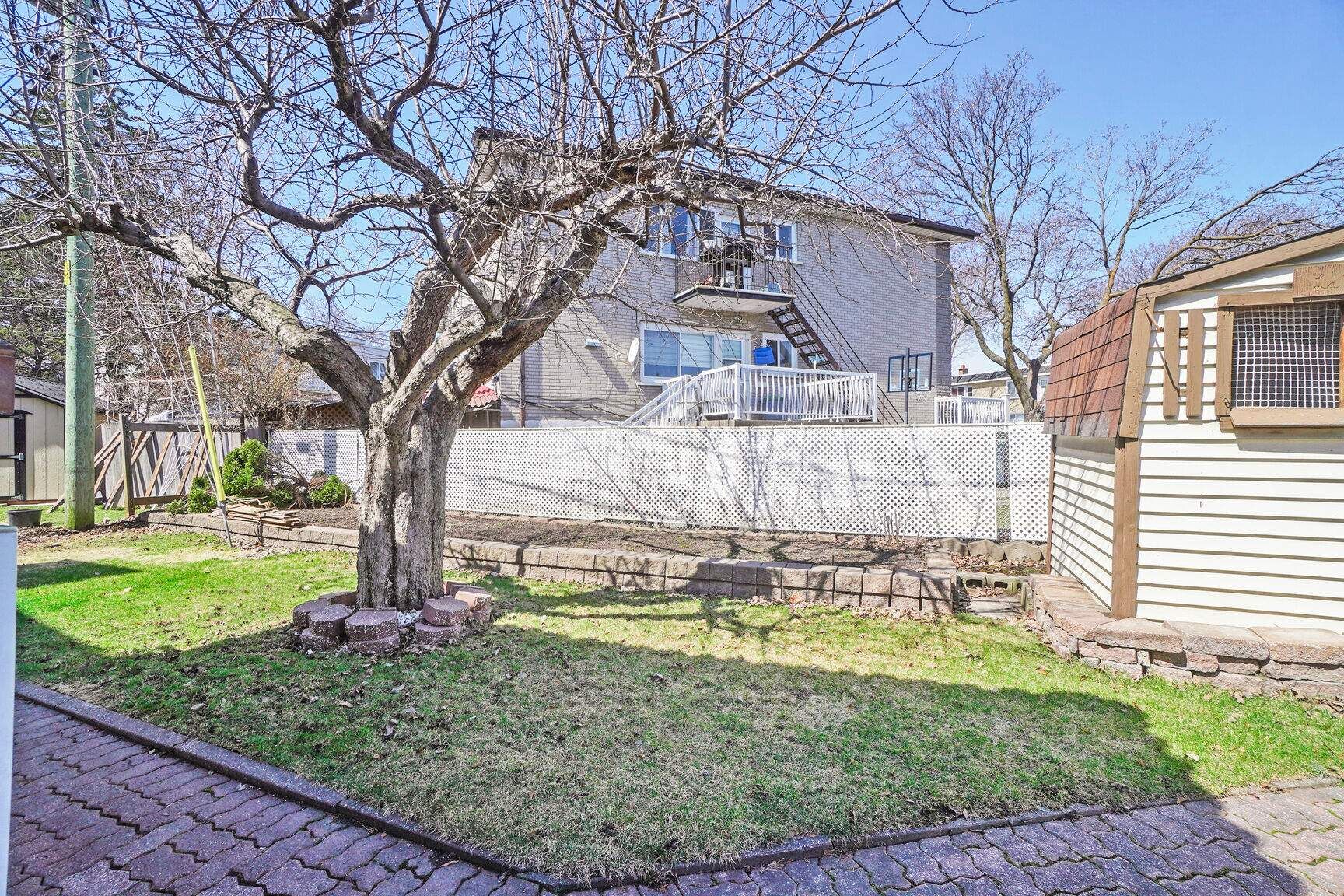 Backyard