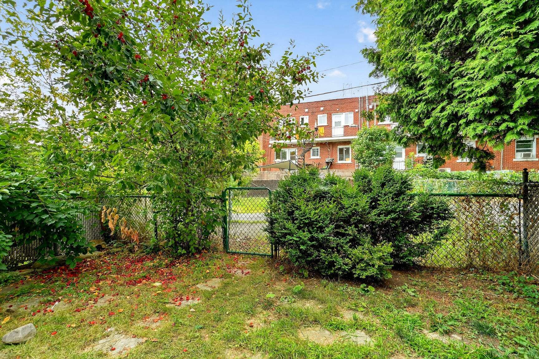 Backyard