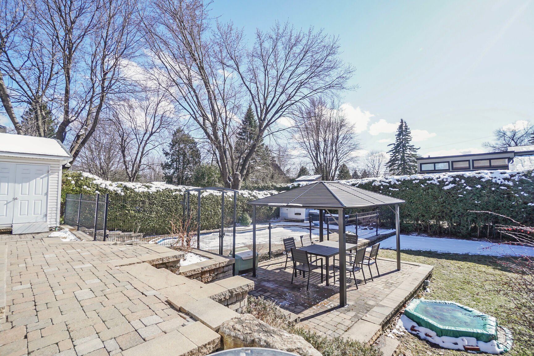 Backyard