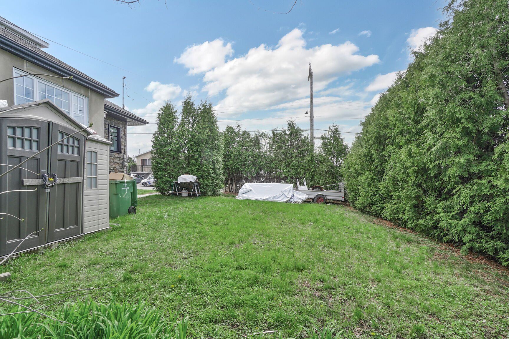 Backyard